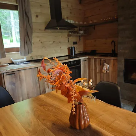Vikendice Dream Apartment